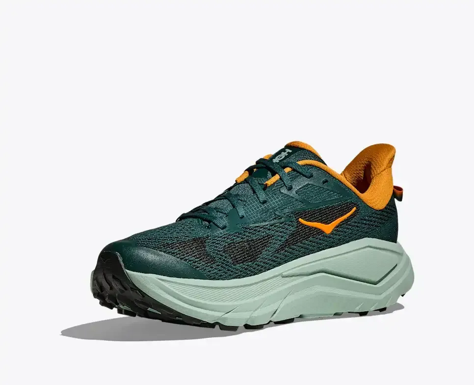 HOKA Challenger 8 Bay Leaf Sage